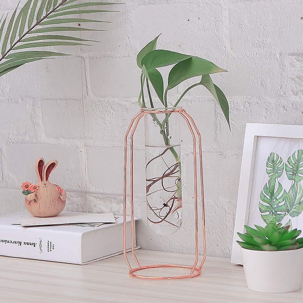 Terrarium Test Tube Vase - Nordic Side -