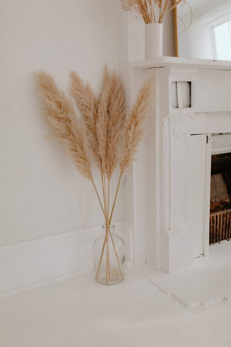 Large Fluffy White Pampas Grass Bundle