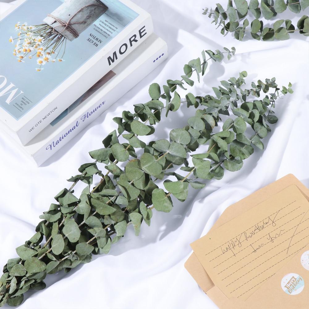 Artificial Elegant Eucalyptus Stems - 10pcs