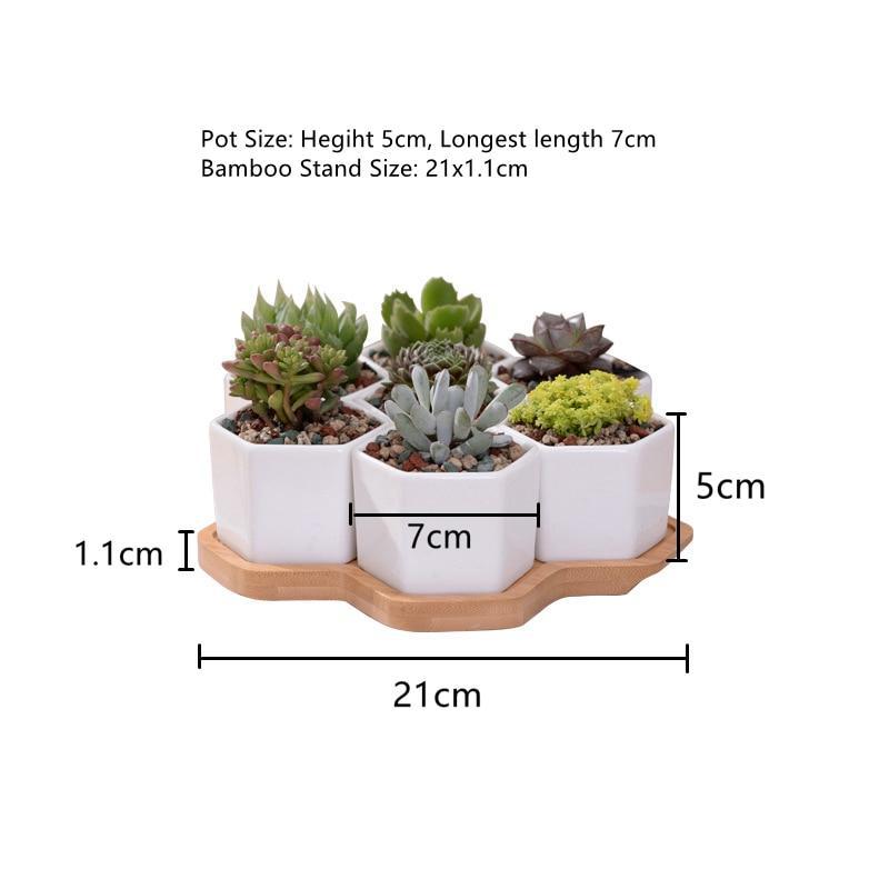 Set of Hexagon Ceramic Pot - Nordic Side -