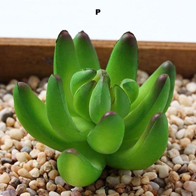 Mini Artificial Succulent - Nordic Side -