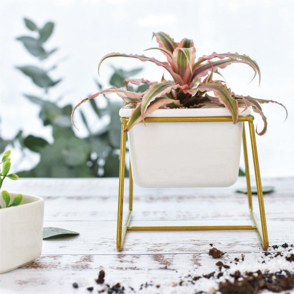 Mini Square Standing Pot - Nordic Side -