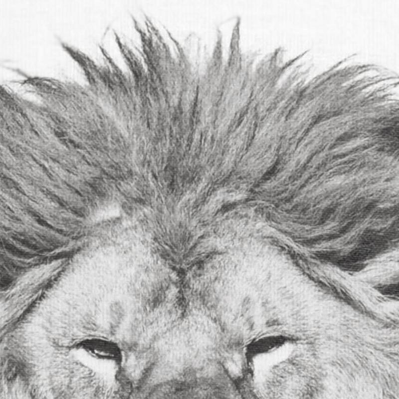 Black & White Wild Animal - Nordic Side -