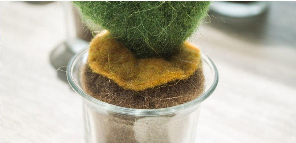 Felted Cactus Miniature - Nordic Side -