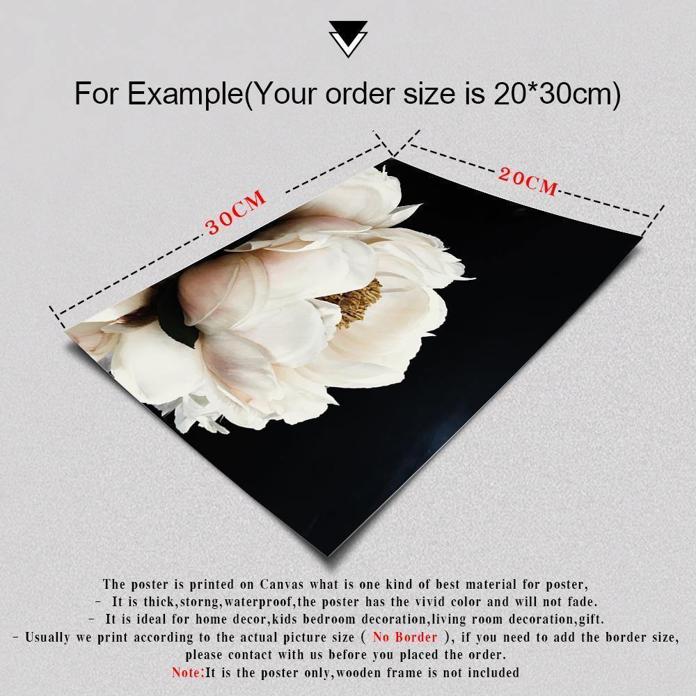 Solel Peony In The Dark - Nordic Side -