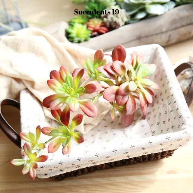 Artificial Succulents Variety - Nordic Side -