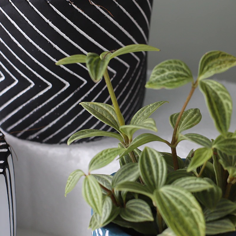 HomeQuill‚Ñ¢ Retro Geometric Flower Pots - Nordic Side - 