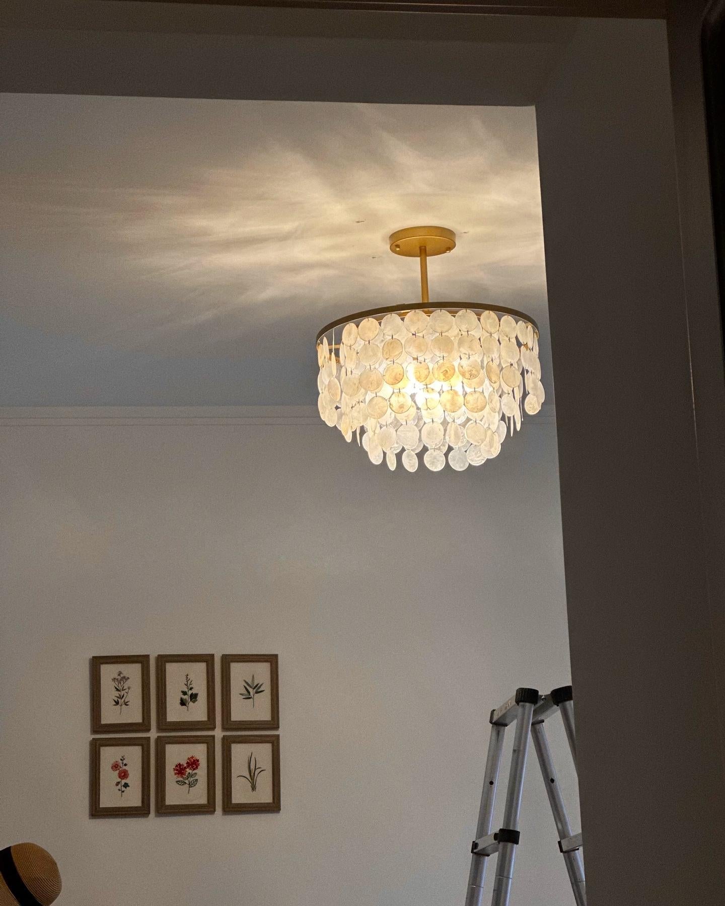 WOMO Capiz Round Chandelier-WM2474