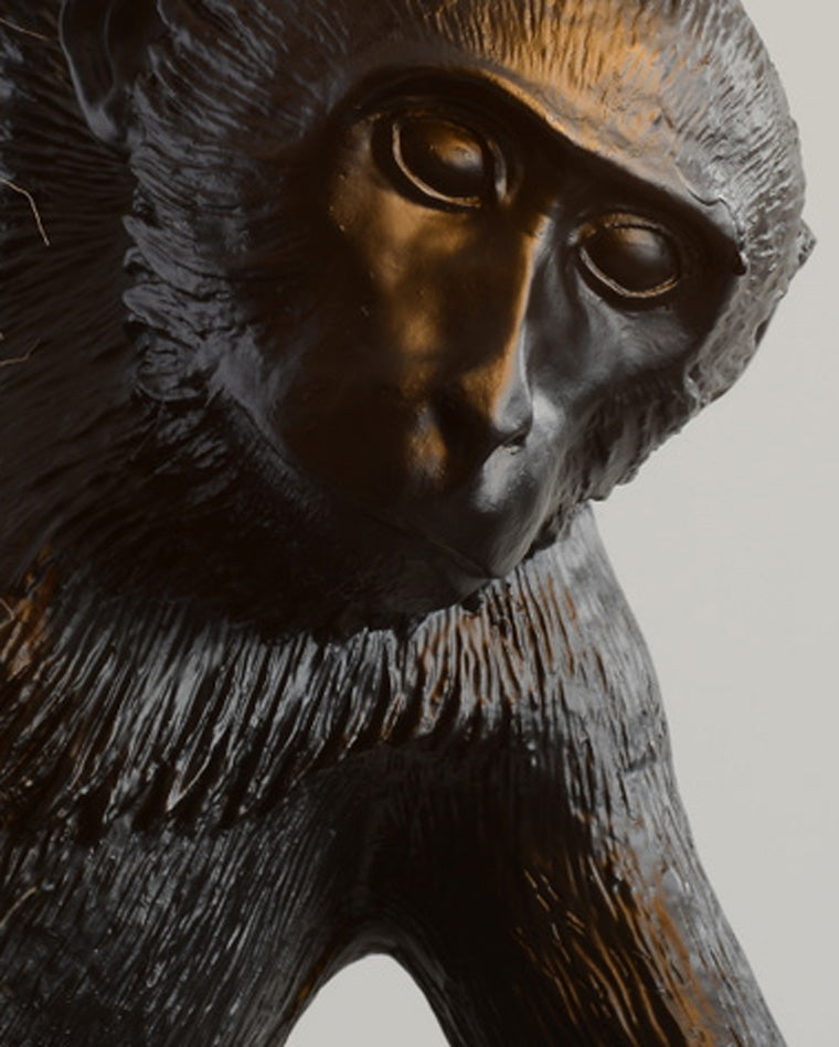 WOMO Monkey Rope Pendant Light-WM2467