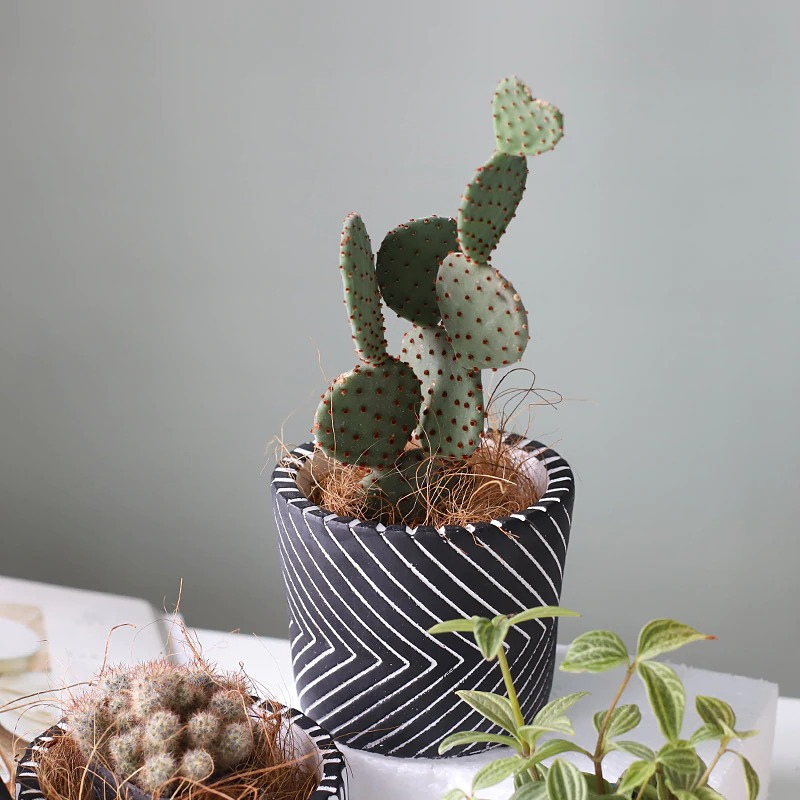 HomeQuill‚Ñ¢ Retro Geometric Flower Pots - Nordic Side - 