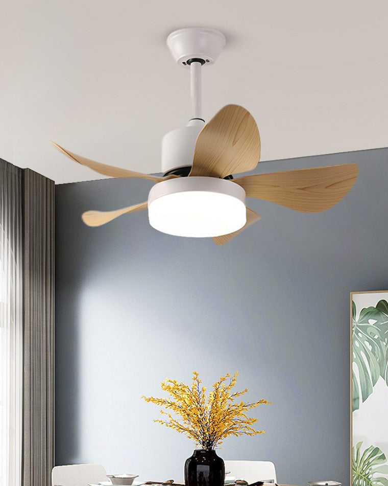 WOMO Small Ceiling Fan Lamp-WM5060
