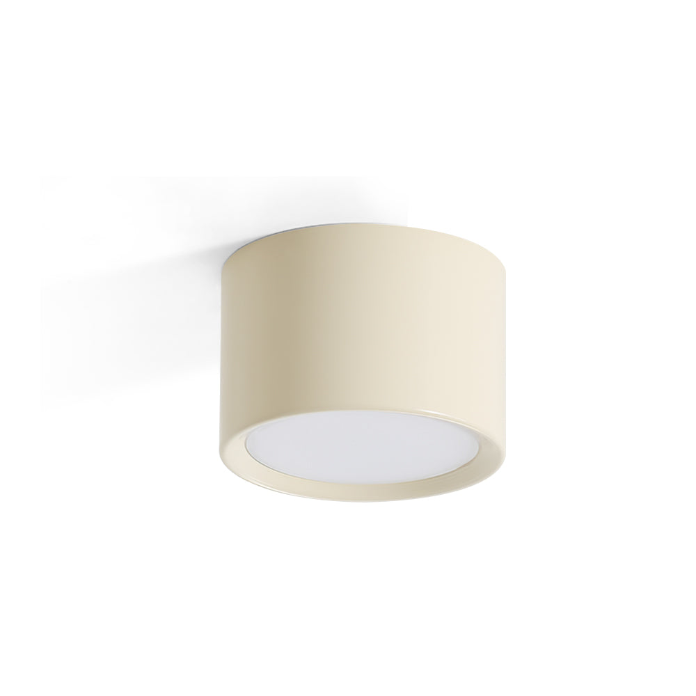 Asher Ceiling Light