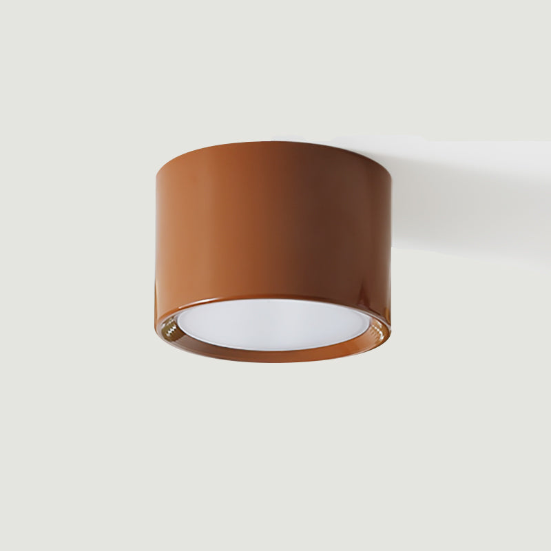 Asher Ceiling Light