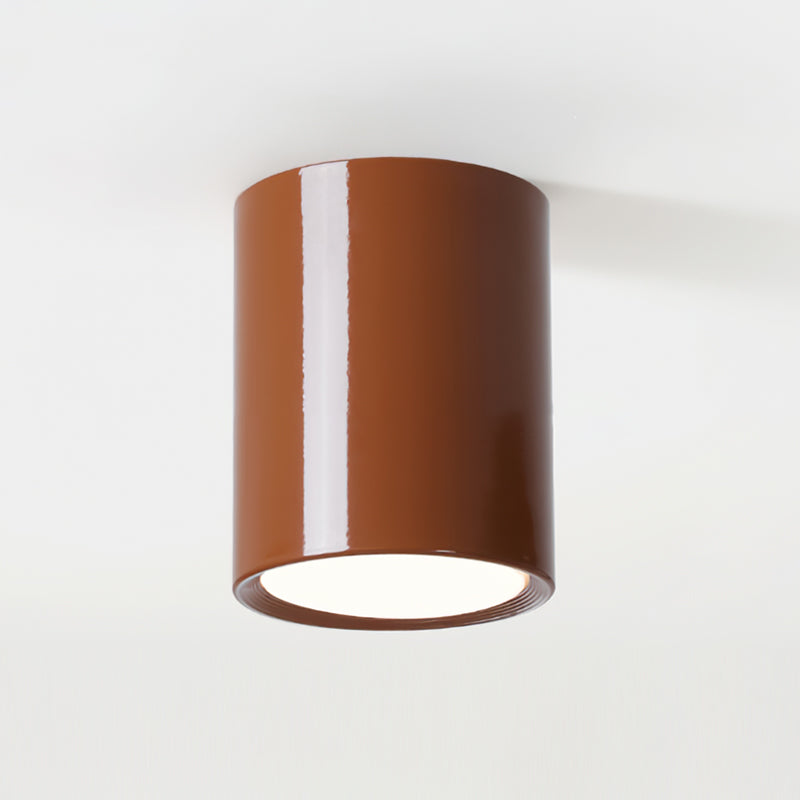 Asher Ceiling Light