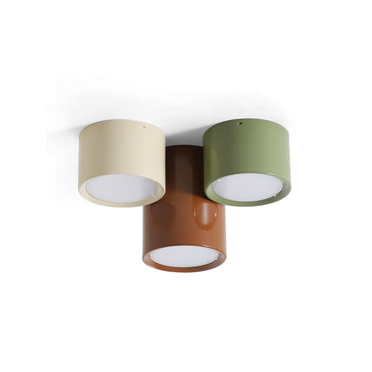 Asher Combination Ceiling Light