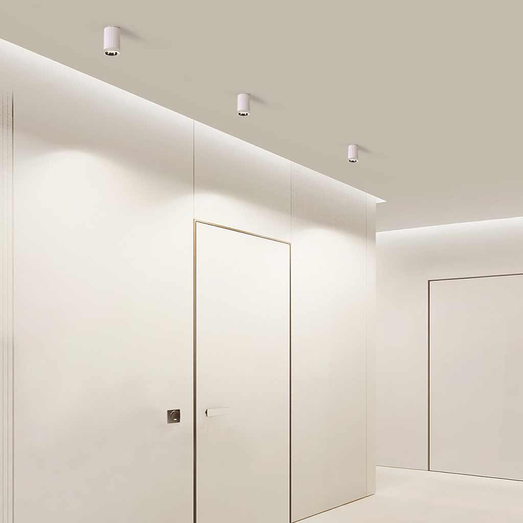 Ceiling Downlight Spotlight Simple Small White Cylinder LED