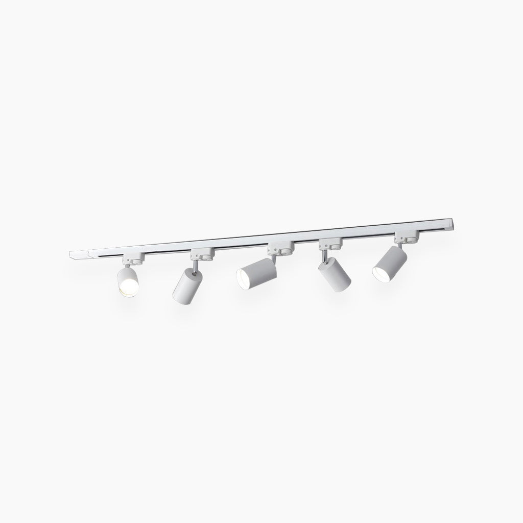Ceiling Light Spotlight Modern LED Track Linear, Black / White