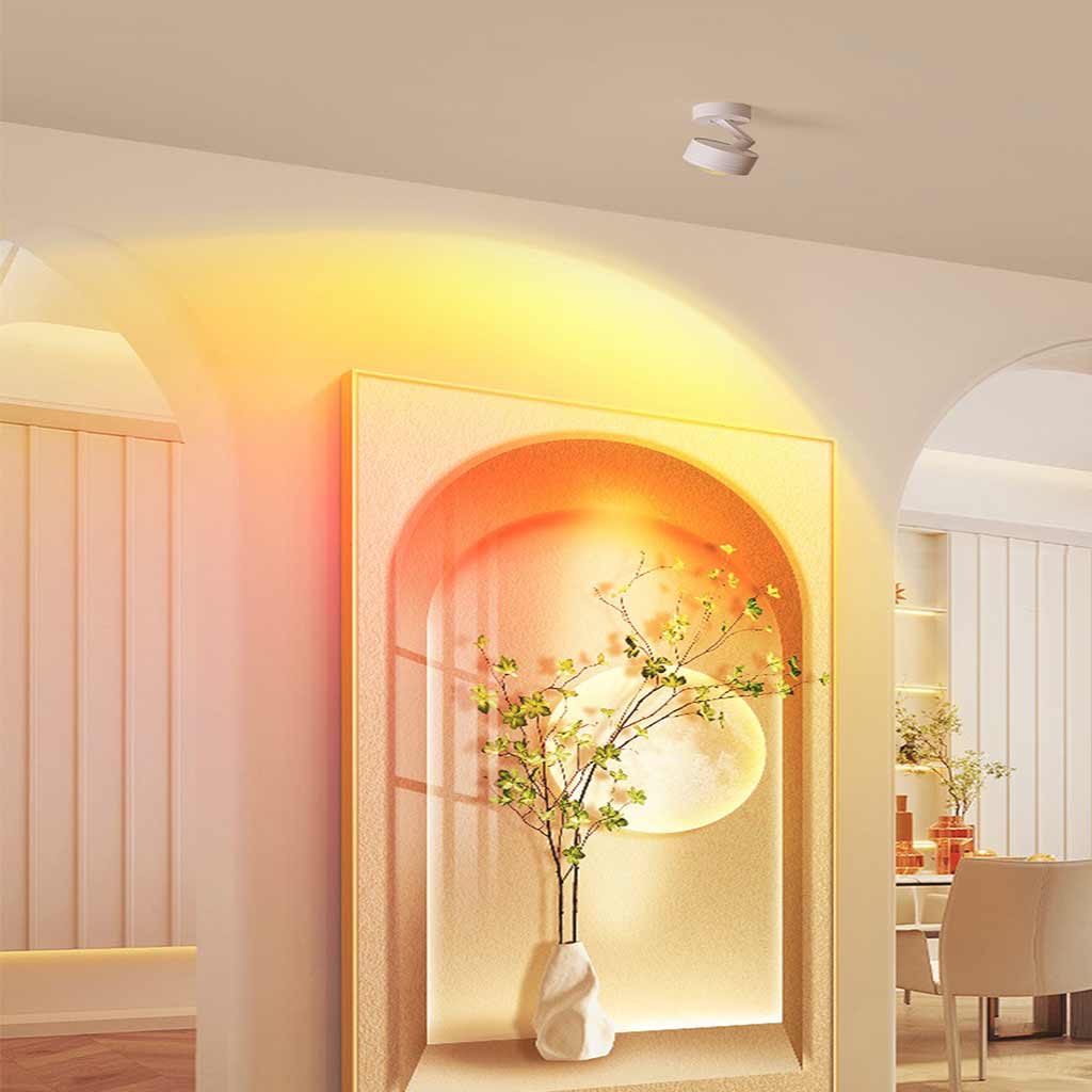 Ceiling / Wall Light Spotlight Sunset Ambient Adjustable LED, Black / White