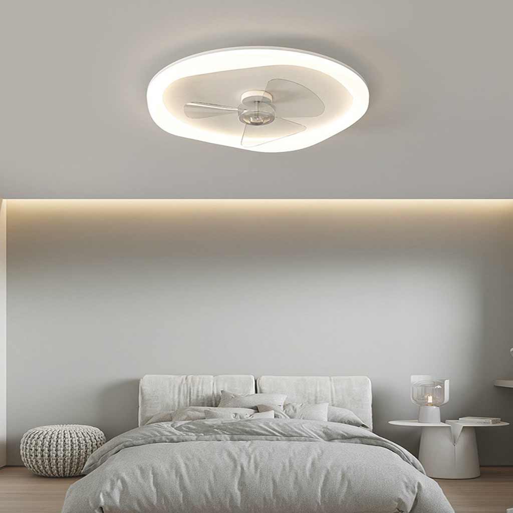 Modern Ceiling Fan with Light