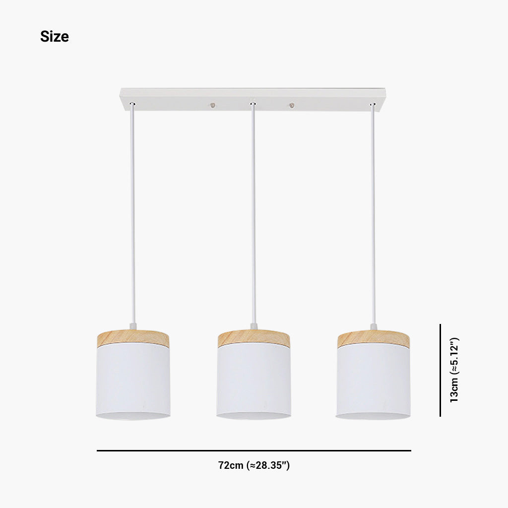 Pendant Ceiling Light Minimalist Style