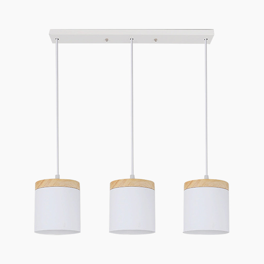 Pendant Ceiling Light Minimalist Style