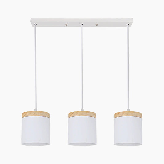 Pendant Ceiling Light Minimalist Style