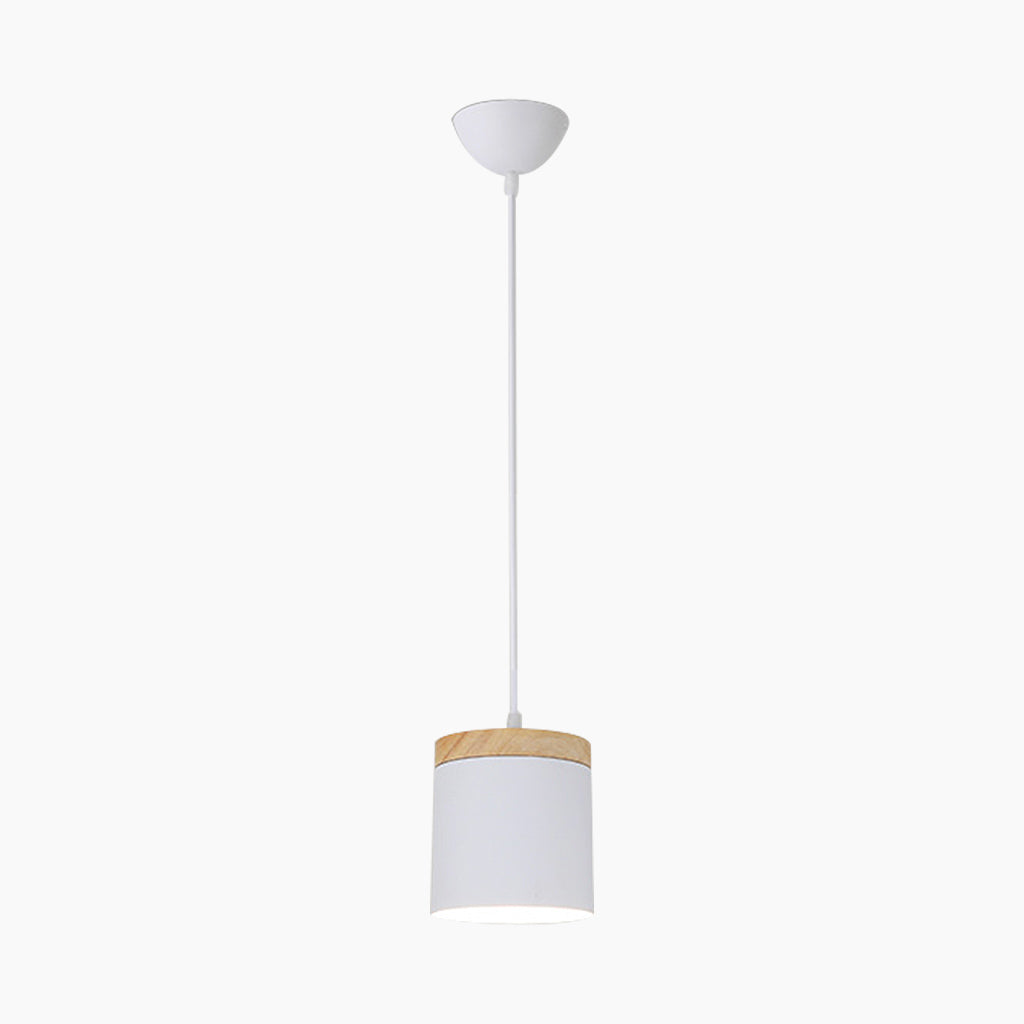 Pendant Ceiling Light Minimalist Style