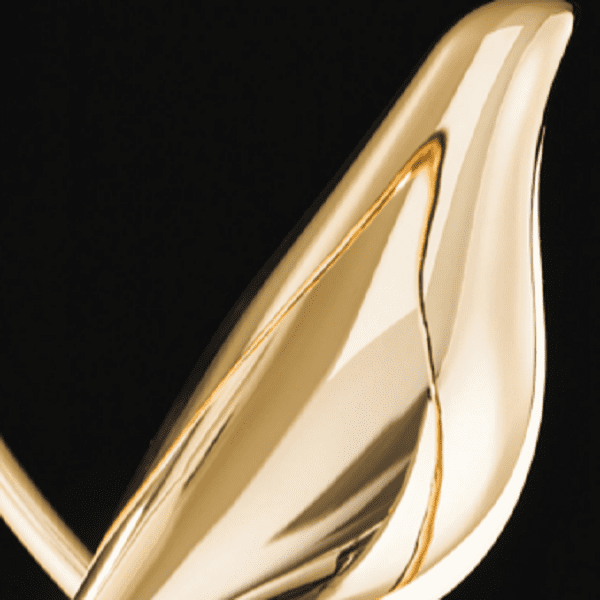 Darnar - Postmodern Luxury Gold Plated Bird Design