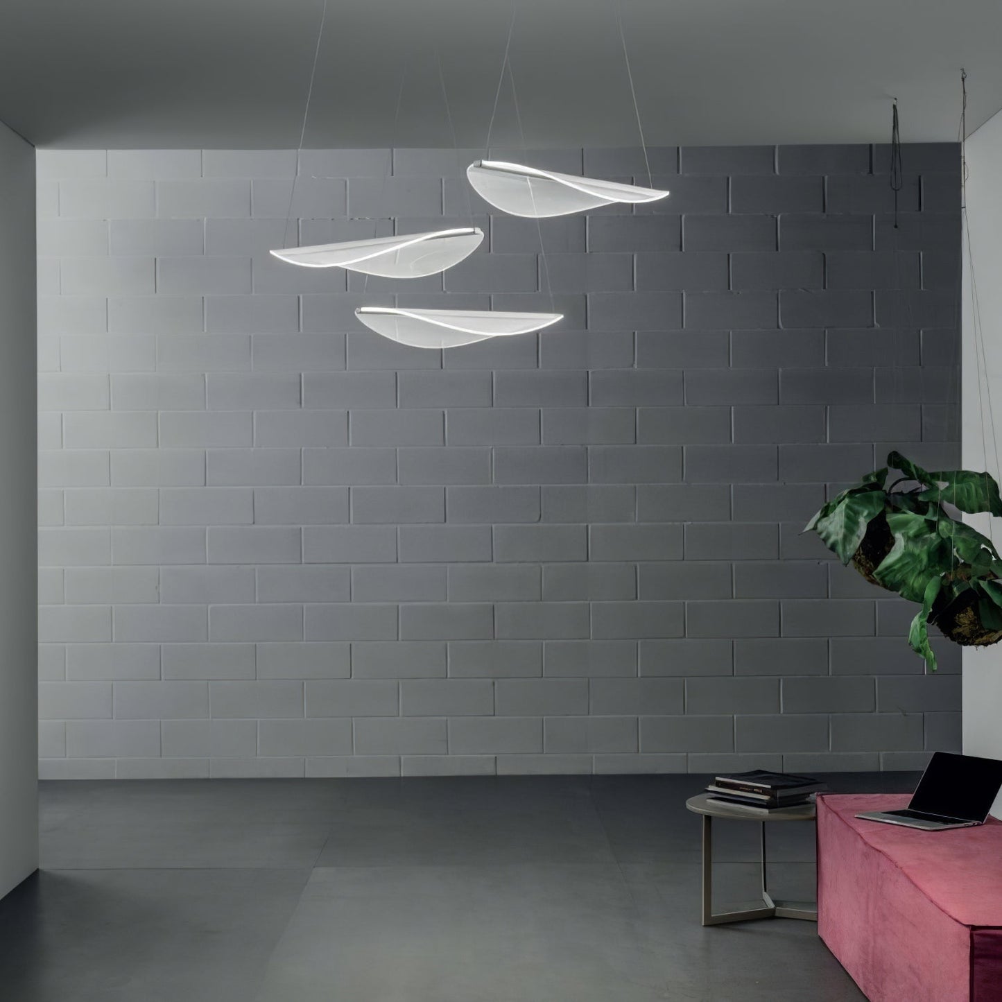 Diphy Pendant Lamp