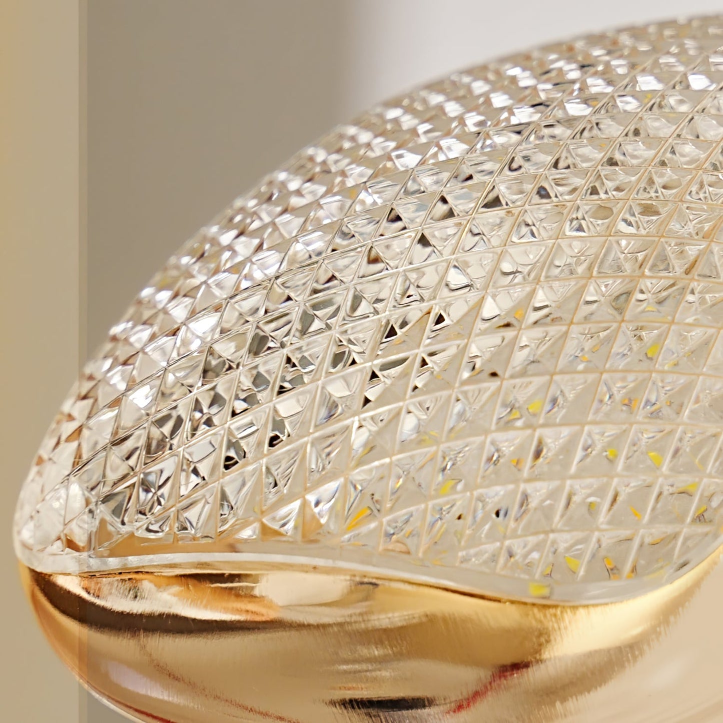 Dolphin Pendant Lamp