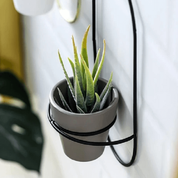 Esma - Rounded Wall Planter