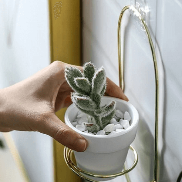 Esma - Rounded Wall Planter