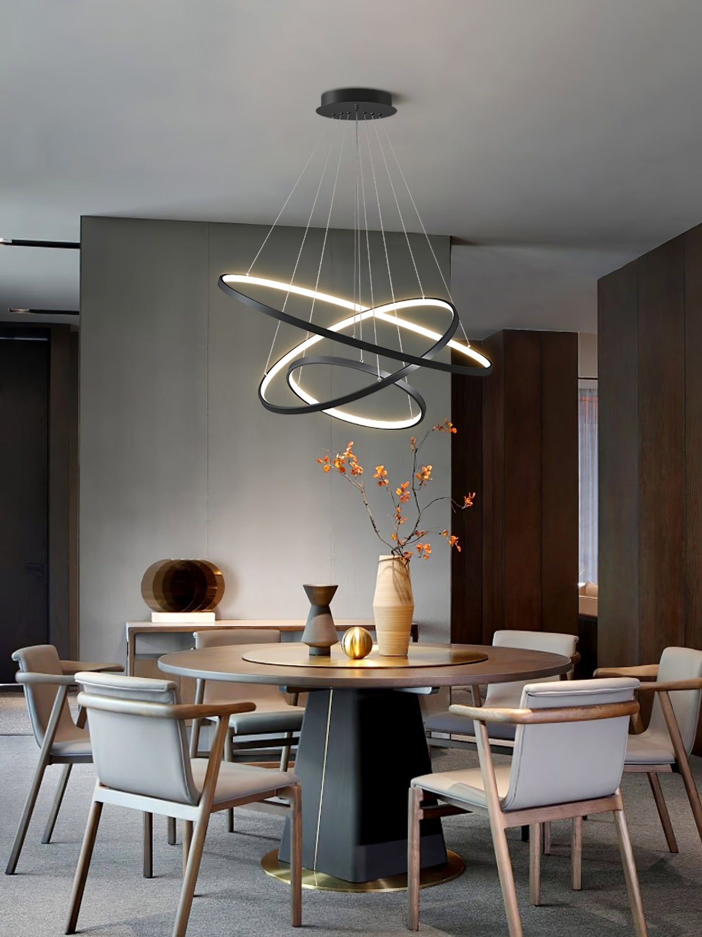 Floating Ring Chandelier