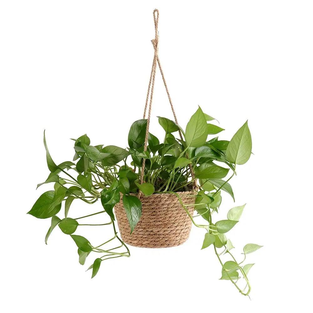 Gisla - DIY Plant Basket