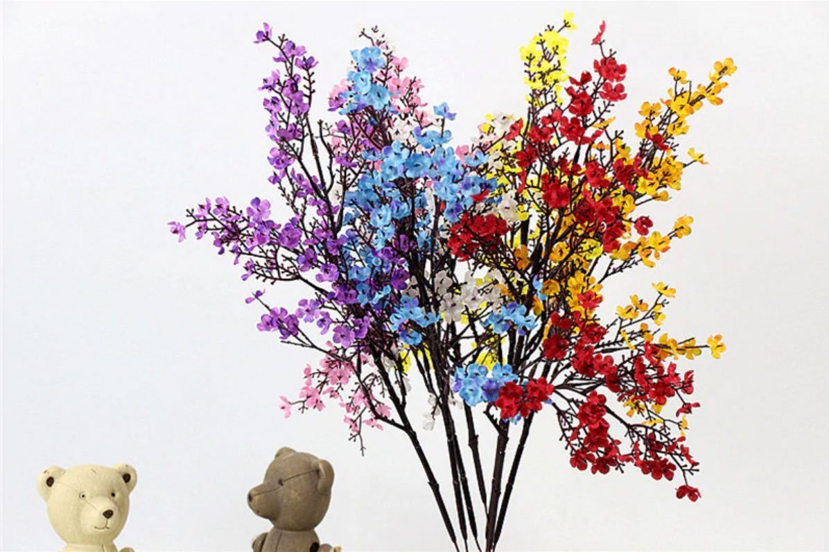 Gypsophila Flower - Nordic Side - 