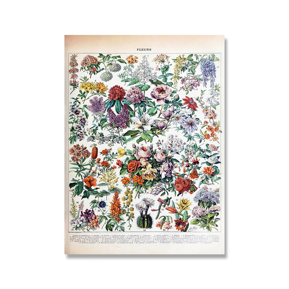 "Lemmikki" Vintage Botanical Prints Canvas Collection
