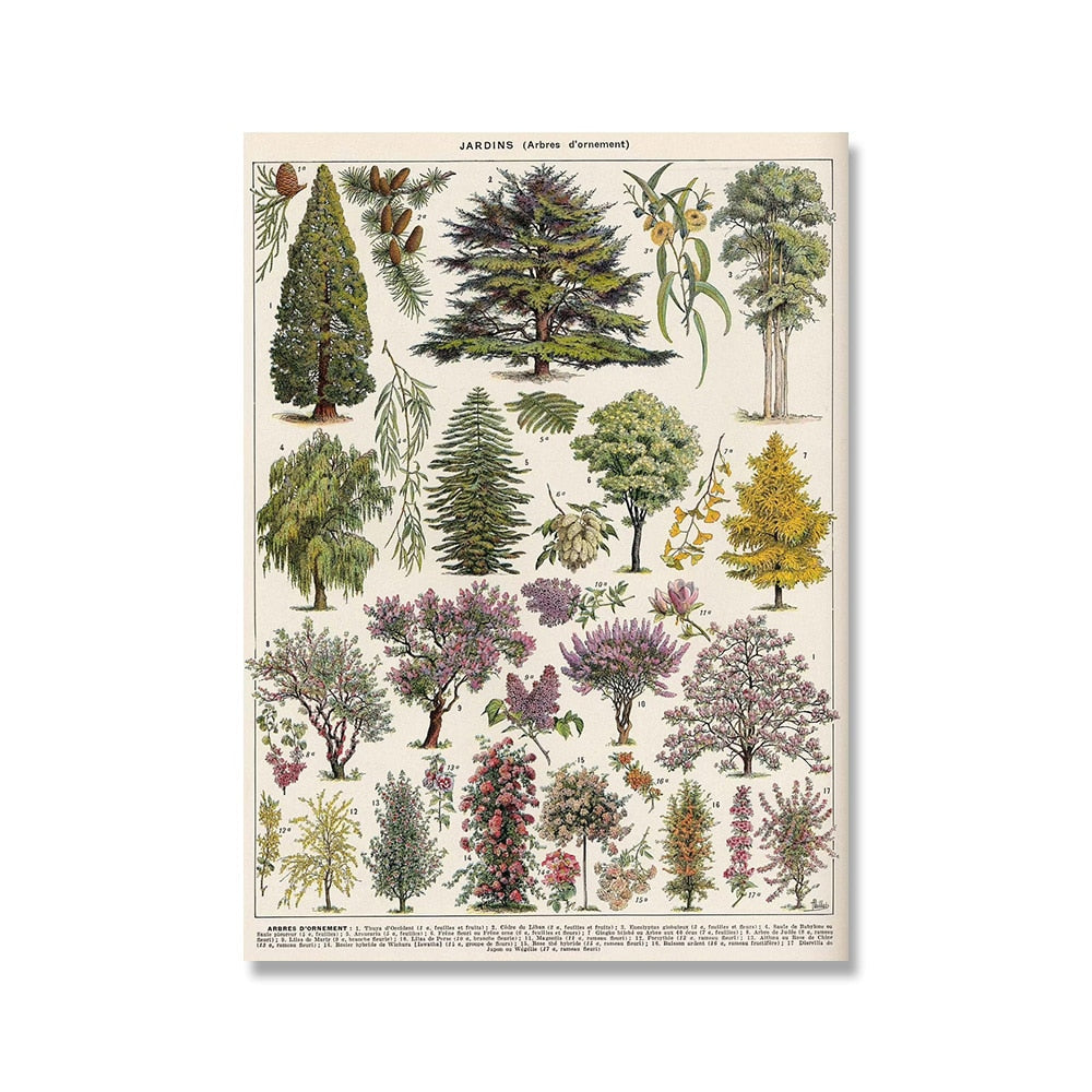 "Lemmikki" Vintage Botanical Prints Canvas Collection
