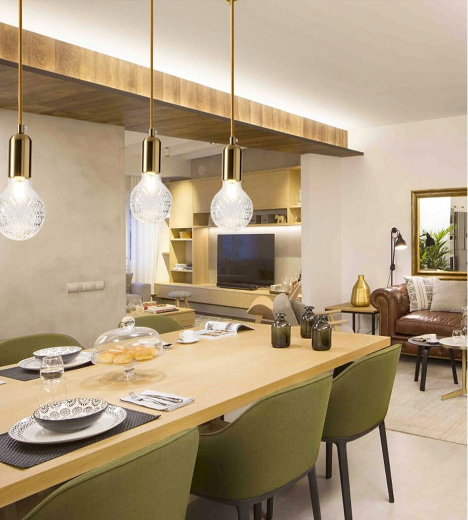 IIS Modern Pendant Light Single bulb Arts Decoration lighting Gold Suspension
