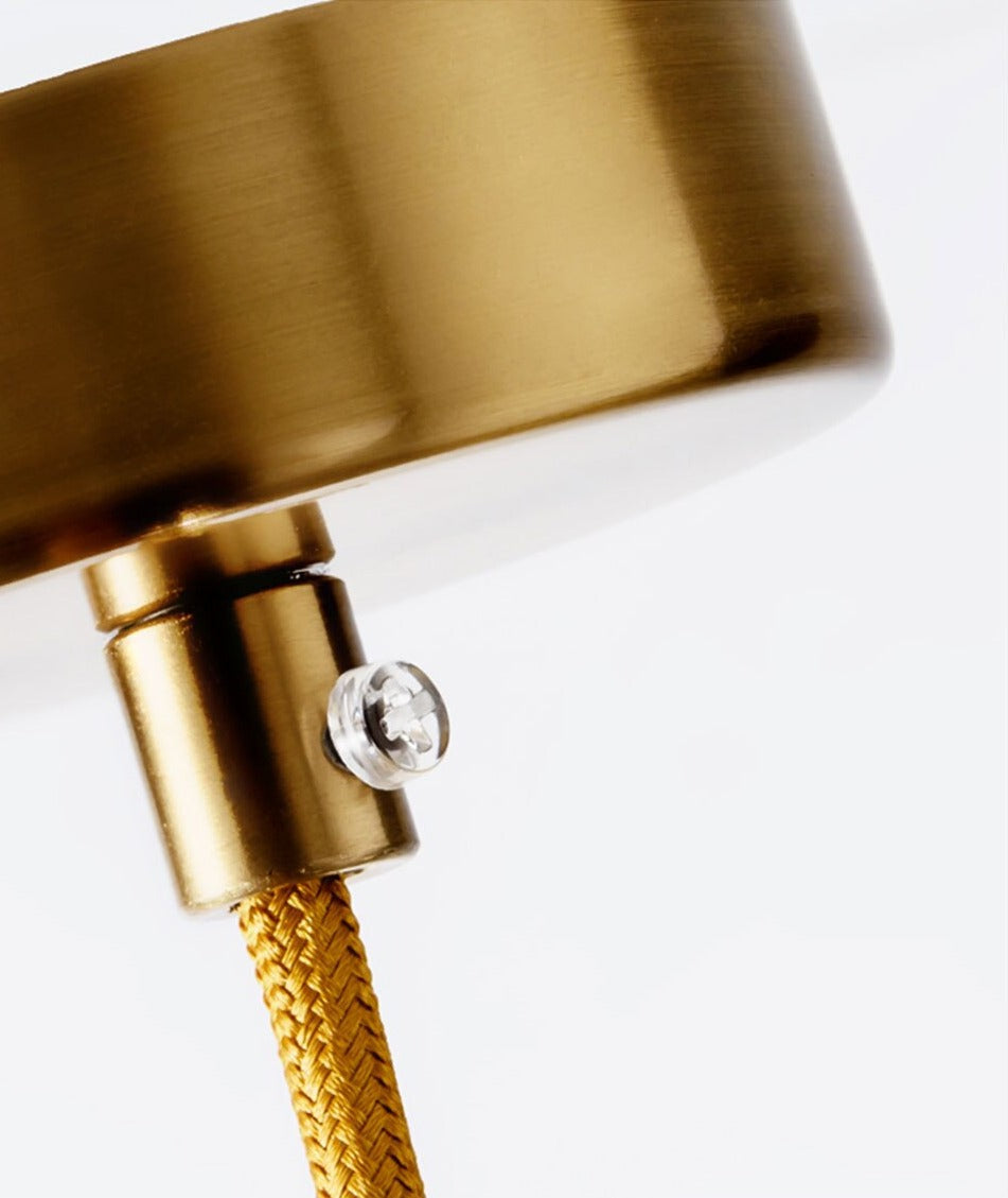 IIS Modern Pendant Light Single bulb Arts Decoration lighting Gold Suspension