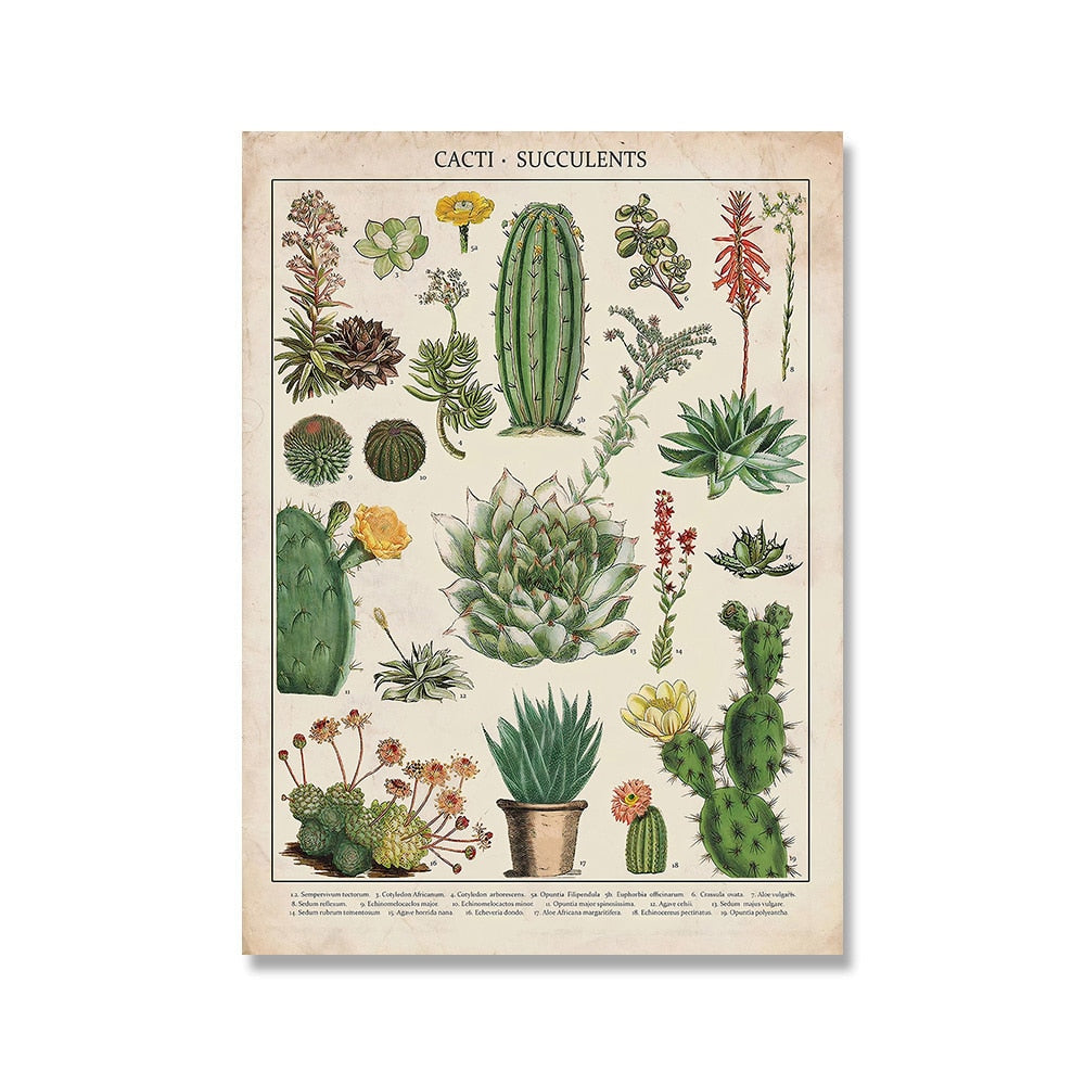 "Lemmikki" Vintage Botanical Prints Canvas Collection