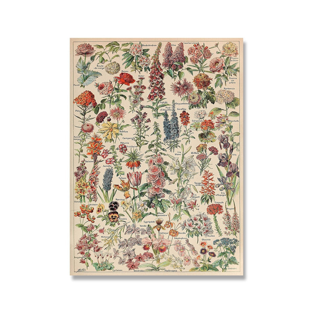 "Lemmikki" Vintage Botanical Prints Canvas Collection