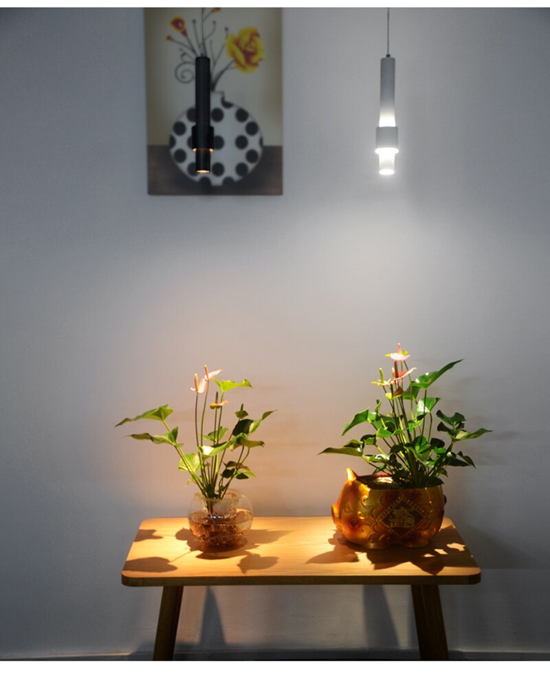 BAN Brangaine Nordic LED pendant lights