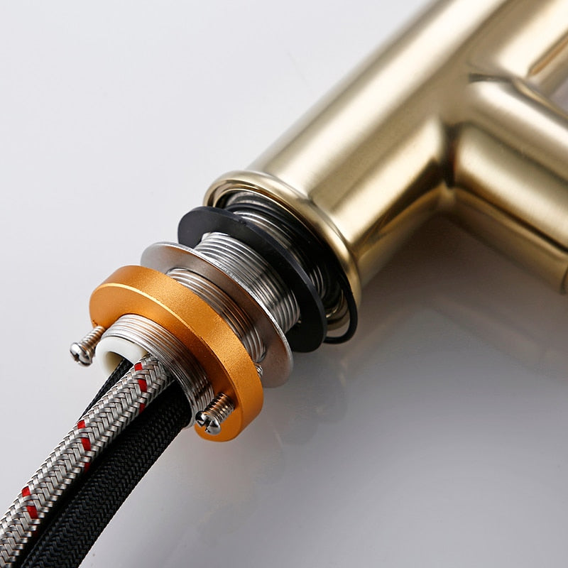 Sela - Gold Kitchen Faucet With Sprayer