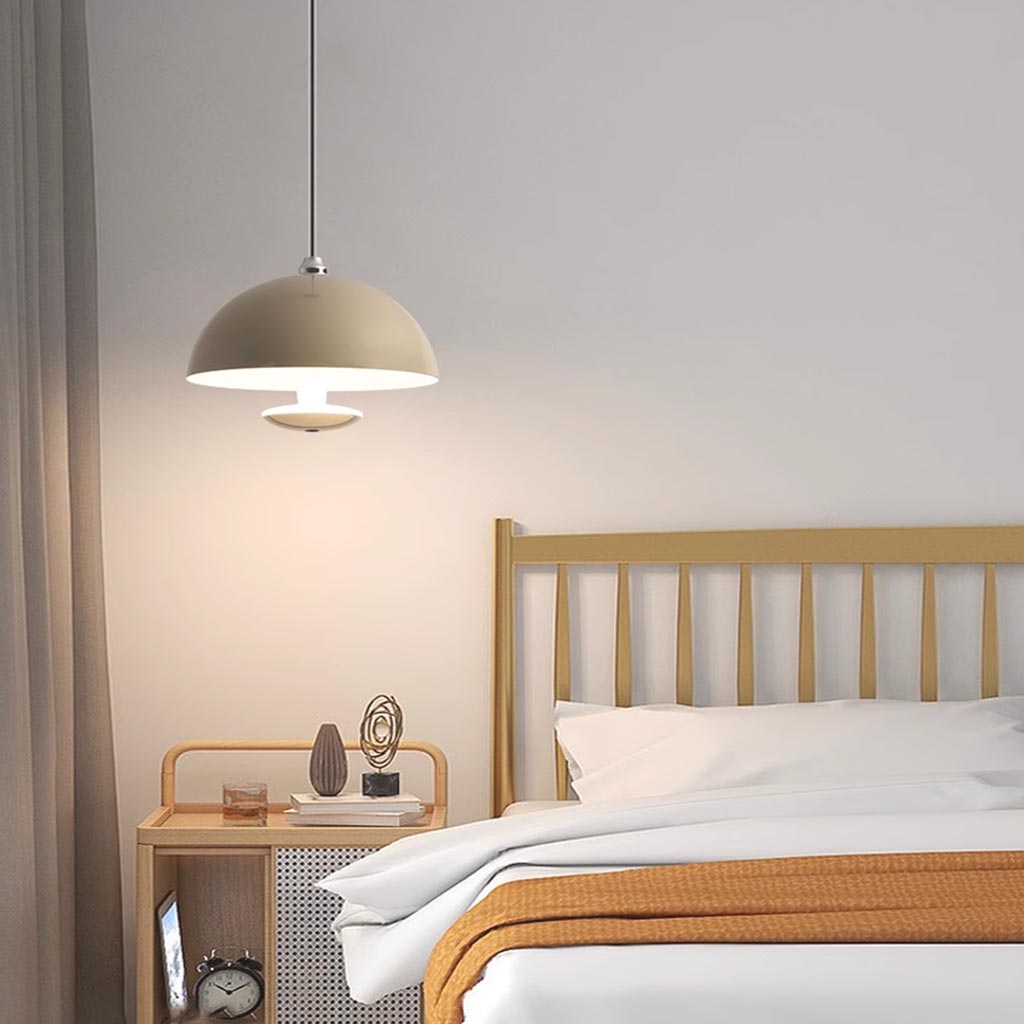 Pendant Light Induction Dome Fixture