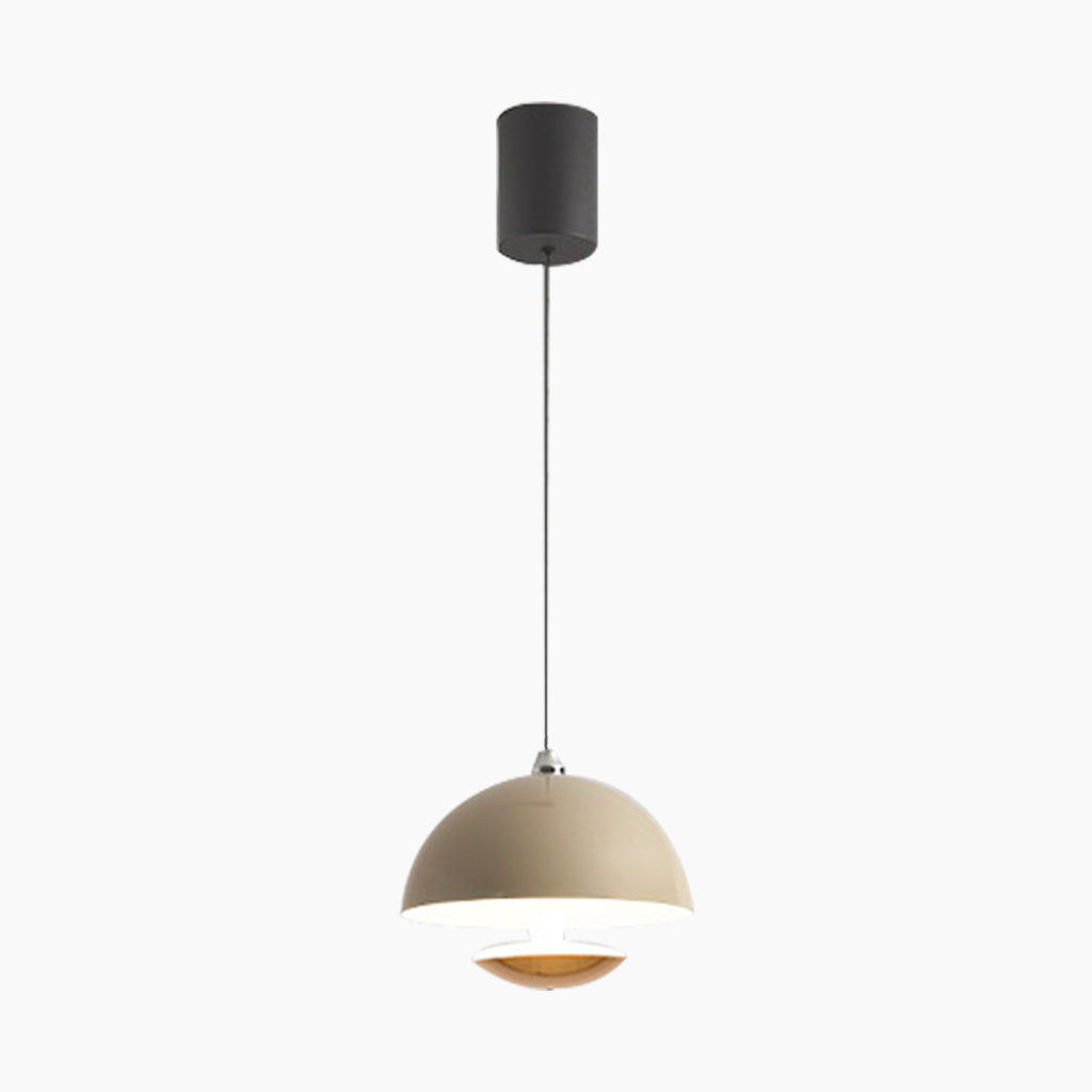Pendant Light Induction Dome Fixture