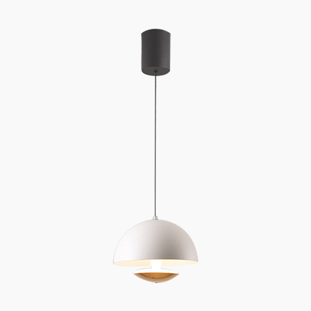 Pendant Light Induction Dome Fixture