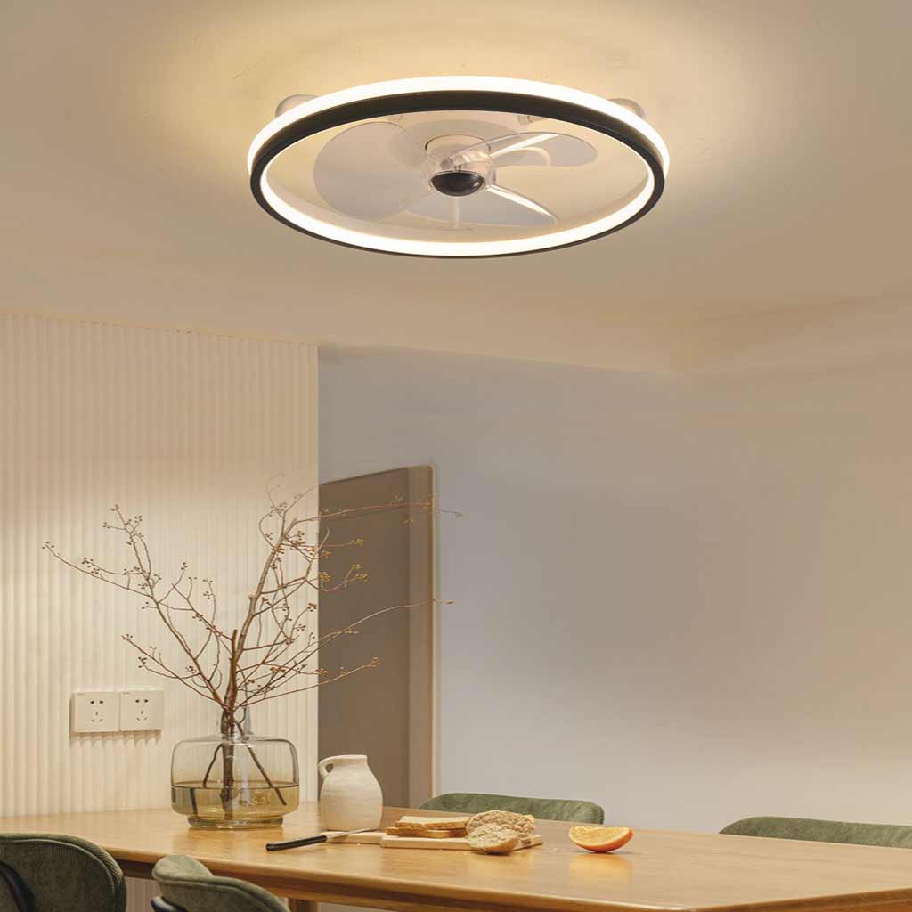 LED Ceiling Light with Fan Modern Full-Spectrum, Black & White