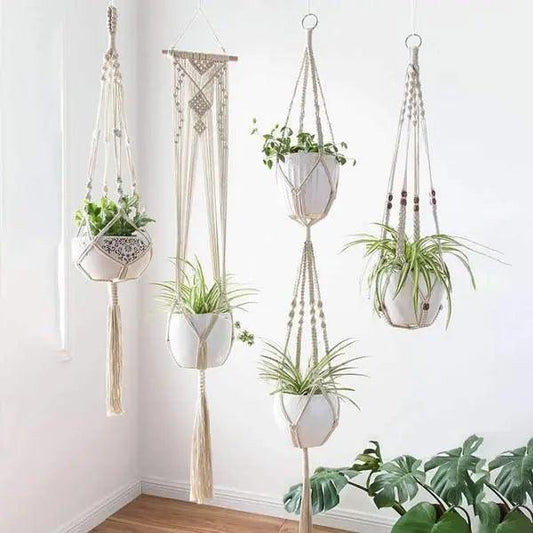 Macrame - Plant Hangers