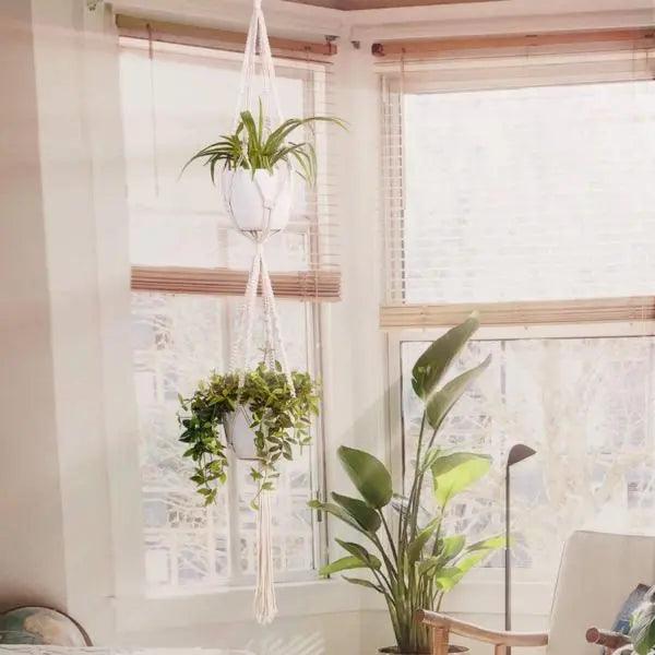 Macrame - Plant Hangers
