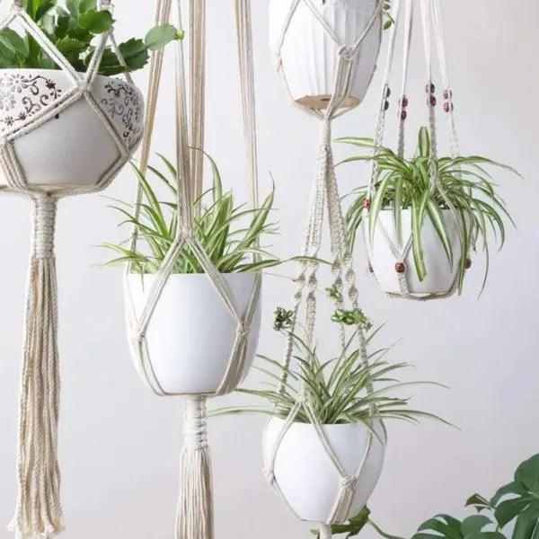 Macrame - Plant Hangers